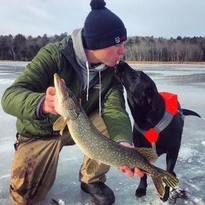 Meet your Posher, Jay